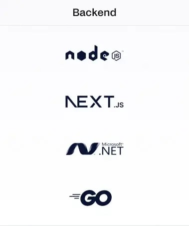 Backend: node.js, next.js, dotnet, go