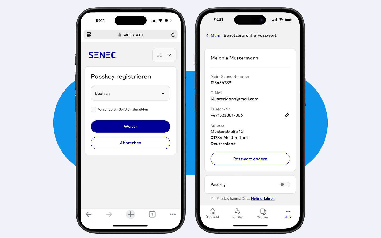 Senec passkey